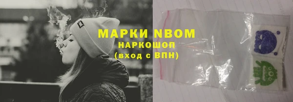 стафф Михайловск