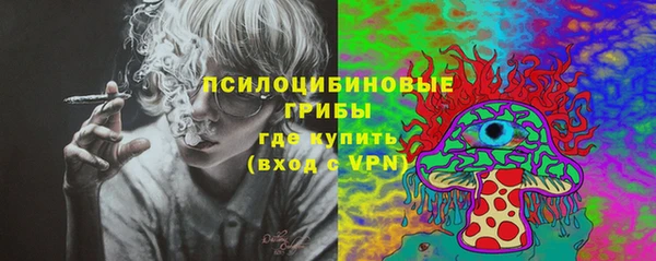 MDMA Premium VHQ Михайловка