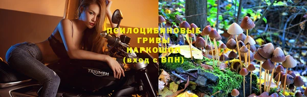 MDMA Premium VHQ Михайловка