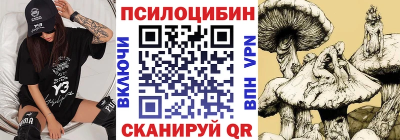 купить наркотик  Северская  mega   Галлюциногенные грибы прущие грибы 