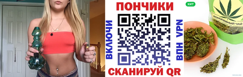 Конопля гибрид  наркота  Северская 